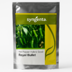 SYNGENTA Hot Pepper Picador Green Chilli 10 Gram Seeds