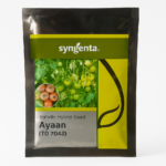 Syngenta Ayaan Tomato Seeds