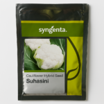 Suhasini Cauliflower