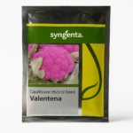 VALENTENA CAULIFLOWER (फूलगोभी)