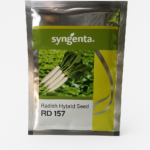 Radish Hybrid Seed RD 157