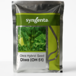 Syngenta OH 517 Okra Seed