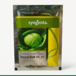 Syngenta Cabbage Royal Ball (BC 51) Seeds - 2000 Nos