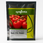 Tomato ( Neil ) (3000 Seed)