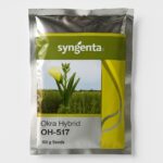 Syngenta OH 517 Okra Seed