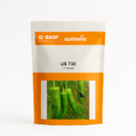 US 730 Chilli