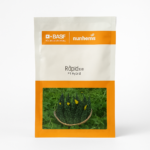 Rapid 128 F1 Bitter Guard Seeds