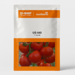 US 440 Tomato Seeds