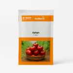 Nunhems Tomato Aahan