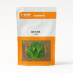 US 1315 Bitter Gourd Seeds