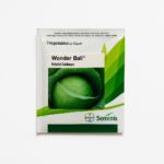 Wonder Ball Cabbage