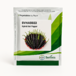 SVHA 5033 Hot Pepper