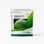 Millenium 111 Cabbage
