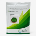 SVOK1408 Hybrid Okra