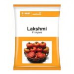 Lakshmi Tomato