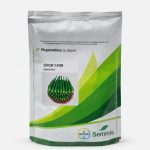 SVOK1408 HYBRID OKRA