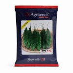 SW Seeds 824