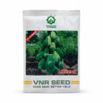 VNR PAPAYA HYBRID AMEENA(1 GM)