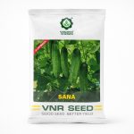 VNR Seeds