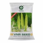 AISHWARYA VNR SEEDS