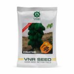 VINAYAK VNR SEED