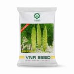 Medium Long Spindle VNR SEEDS