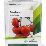Saksham Tomato Seeds