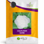 CAULIFLOWER DAMINI