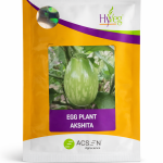 Hyveg Akshita Hybrid Brinjal seeds