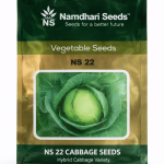 NS 22 Cabbage Seeds