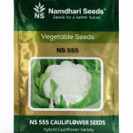 NS 555 F1 Hybrid Cauliflower Seeds