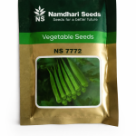 NS 7774 F1 Hybrid Bhendi Seeds
