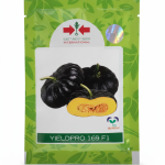 East West Yield Pro 169 F1 Pumpkin Seeds