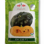 PUMKIN EW 238 F1 Pumpkin Seeds