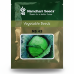 NS 43 Cabbage Seeds