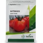 SVT8323 Tomato seeds